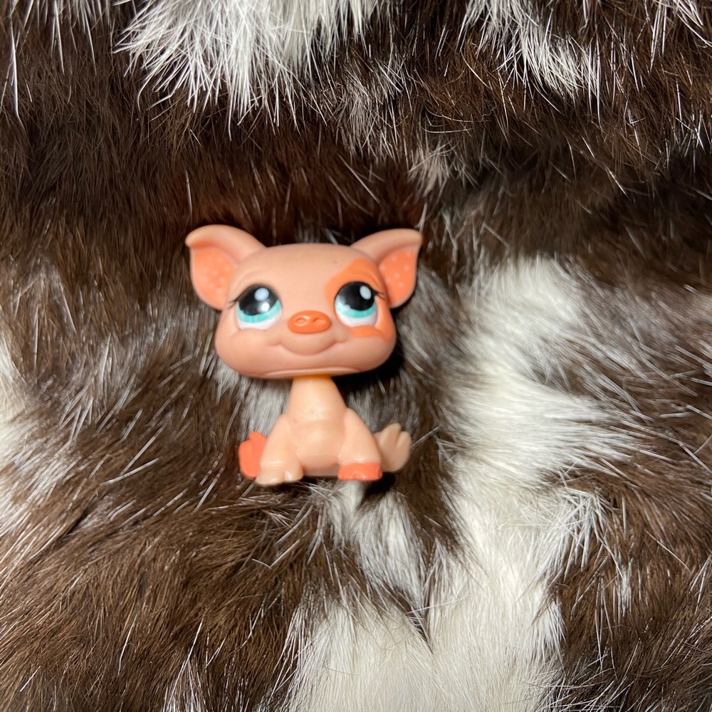 Littlest Pet Shop Lot D